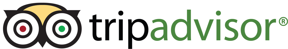TripAdvisor-logo mini